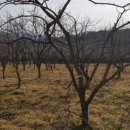 만재농장 이미지