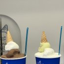 녹쟌니 | 강원도 속초 카페 | 속초해수욕장 근처 강원도 명물로 만든 수제젤라또 맛집 내돈내산 ‘녹쟌니’