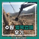 수원 | 수원 벌목업체 후기