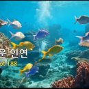 아름다운 인연 Acoustic Trot 188 이미지