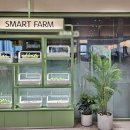 스마트플랜 이미지