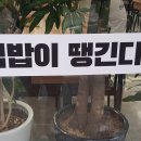 집밥이땡긴다