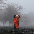 포그 - 부산진구 동성로87번길 9 | 포그