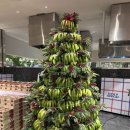 WR(대구광역시 중구)-61[중앙대로]-하-13 | 끝나지 않는 크리스마스🎄_대구 당일치기 여행(대구더현대 트리빌리지 / 스테드커피 / 동성로 스파크랜드...