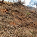 정리마을회관 이미지