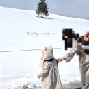 EG투어버스 H코스 | [삿포로] 비에이 내돈내산 버스 투어 후기