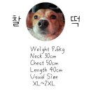 퍼피짱 | ☃️ 강아지 겨울 패딩_퍼피갤러리 키로로 클라우드 패딩(2XL) 내돈내산