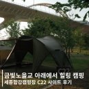 C22 | 세종 합강캠핑장 C22사이트, 금빛노을교 명당 후기