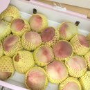 가마실 농장