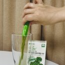 [네이처드림 유기농컬리케일]동결건조분말 먹어본 후기 (케일주스 간편하게 만들었어요)