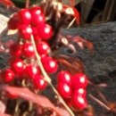 강남대로105길 15 이미지