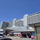 해돋이식당자판기 | 강릉 세인트존스호텔 골져스 오션 더블 후기: 환상적인 파노라마 오션뷰 총정리