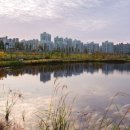 제주도 제주시 이삿짐센터 알아보기