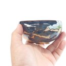 그린피아 이미지