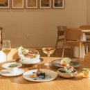 카세로지 이미지