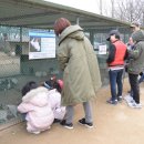 화원동산 동물원 이미지