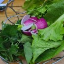 번덕농장 이미지