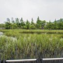 노작호수공원 네이버블로그