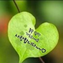 행복커피 네이버블로그