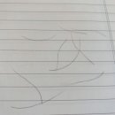손;눈썹