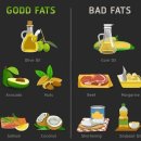 내몸에 건강이야기 이미지