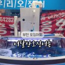 어달산오징어촌 이미지