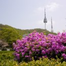 남산공원길3 이미지