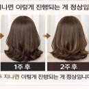 벨염색&뷰티