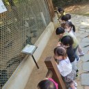 눈초롱어린이집 이미지