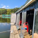 구봉낚시터 이미지