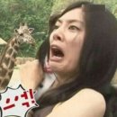 뽕스차이나 이미지