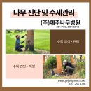 주식회사 예주