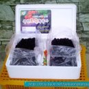 곡성 국립농산물품질관리원 이미지