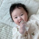 큐피드 | 이앓이 손목 치발기 정착템, 조건 다 갖춘 퍼기 큐피드 후기