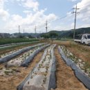 쉼터하우스 이미지