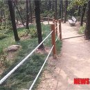 광교복사