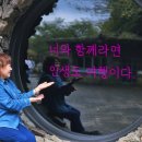 오직흑돼지제주에서왔수다 | 제주도 단체관광 45인승 버스 대절로 하루 코스 완벽하게
