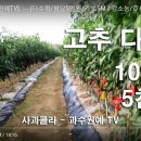우정농원