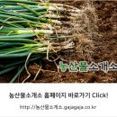 농산물 소개소 이미지