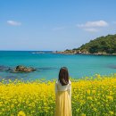 5월 국내 여행지 추천 – 꽃길 걷고, 바람 맞고, 계절을 만끽하는 최고의 달