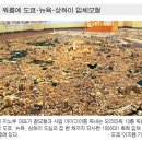 미노루