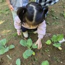 강동무지개어린이집 이미지