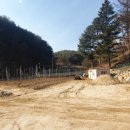 수원-0183 이미지