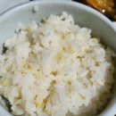 이명숙 청마루 이미지