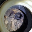 삼성산 화장실 이미지