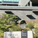 씨유(CU) 정선봉양점 | 제천 레스트리 리솜 G50 타워 vs 정선 파크로쉬 (후기&amp;비교)