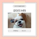 디디메디칼 이미지