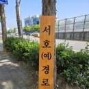 서호(여) 네이버블로그