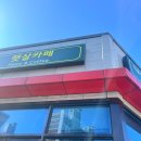 햇살 | [청주/금천동] 청주 이색카페 추천, 반려식물과 함께하는 햇살카페 방문 후기