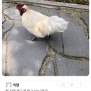 캠퍼스pc방 이미지